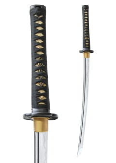 foto Shikoto Longquan Master Wakizashi